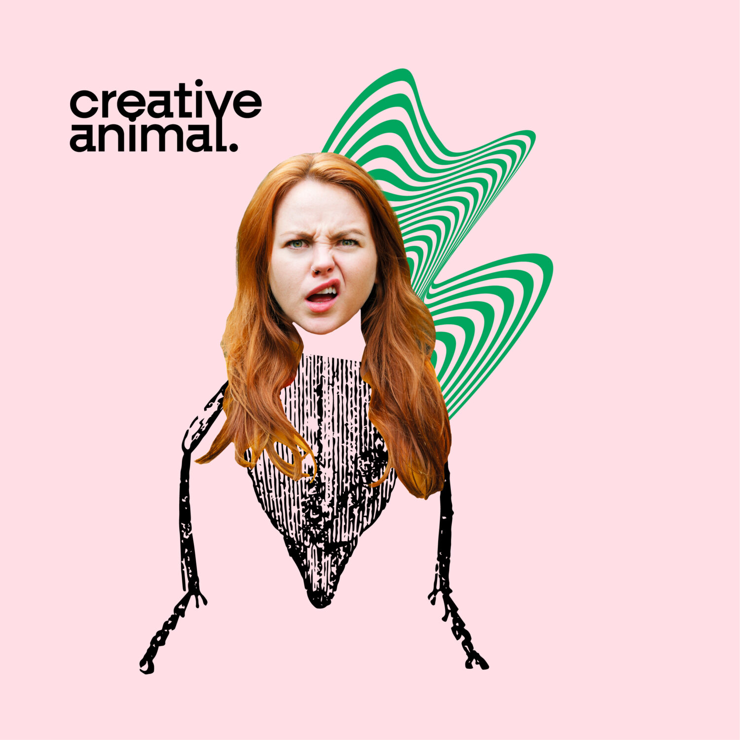 Creative Animal0